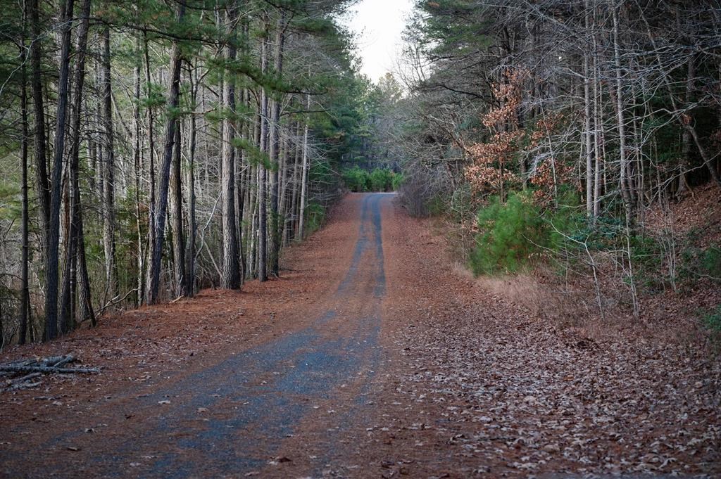 Lot 2061 Mayflower Dr, Greenbackville, Virginia image 15