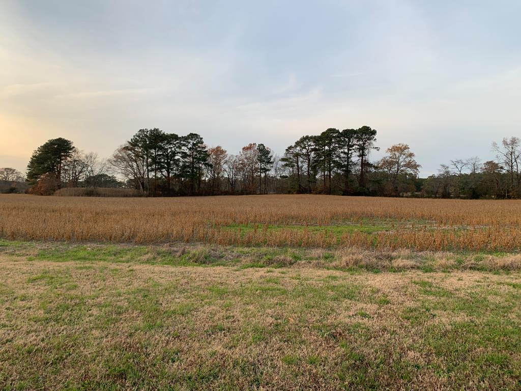 Lot 4 Waterside Dr #4, New Church, Virginia image 9