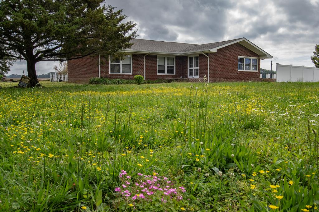 13236 Parting Creek Rd, Exmore, Virginia image 49