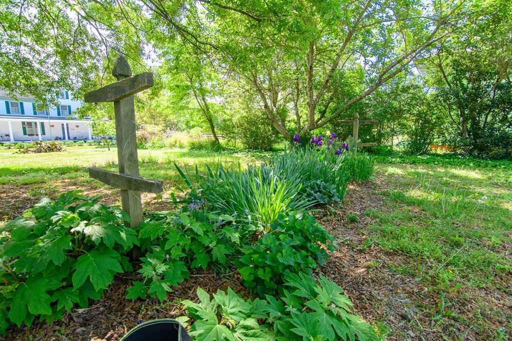 12 Joynes St, Onancock, Virginia image 13