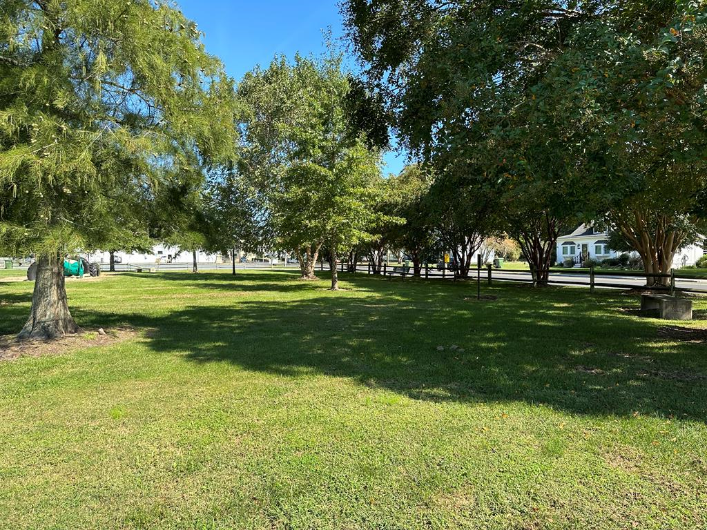 4455 Duer Ct, Exmore, Virginia image 27