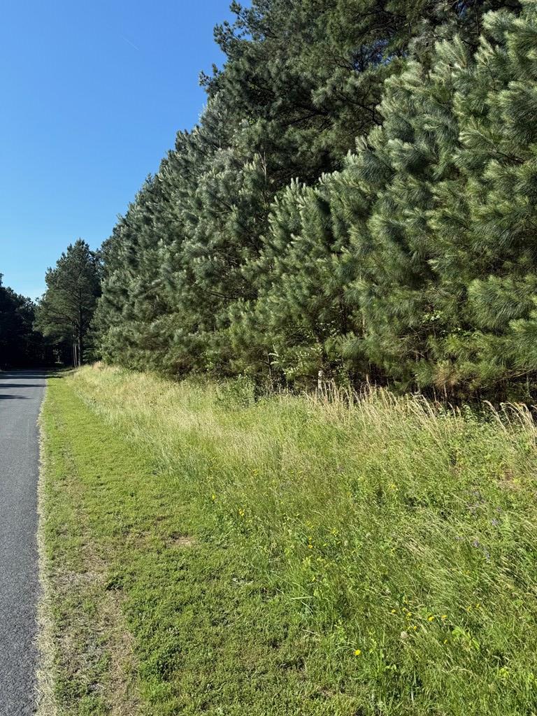 5 Harbour Ln #5, Eastville, Virginia image 2