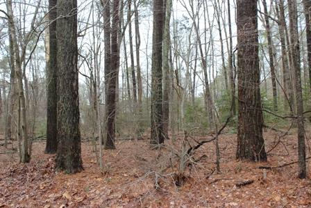 Vacant Land For Sale - 2104 Buccaneer Blvd #2104<br/> Accomack County, Greenbackville, VA 23356