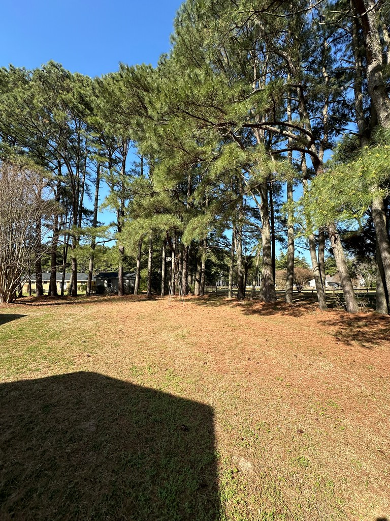 23089 Carr Lane, Cape Charles, Virginia image 12