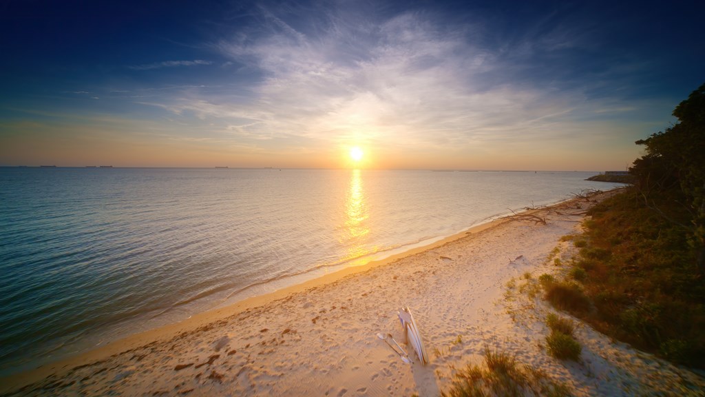 409 Arnies Loop #64, Cape Charles, Virginia image 4