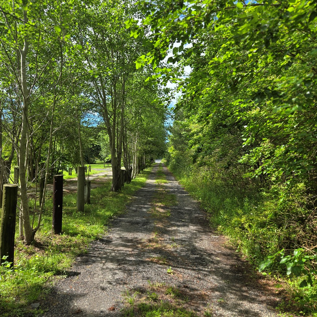 Briar Ct, Cape Charles, Virginia image 3