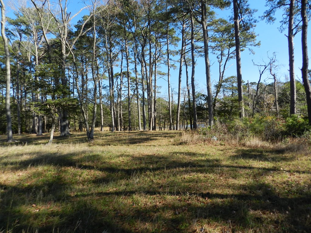 Lot 16 Peaceful Pond Dr #16, Jamesville, Virginia image 46