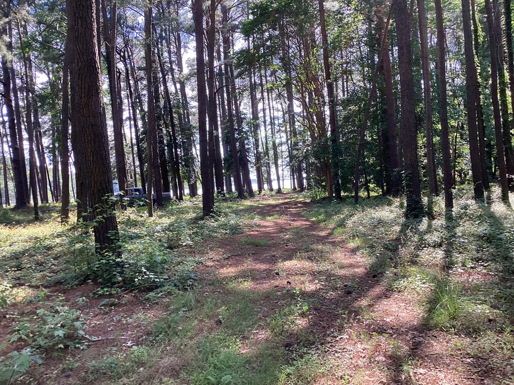 A6B White Tail Lane #A6B, Machipongo, Virginia image 8