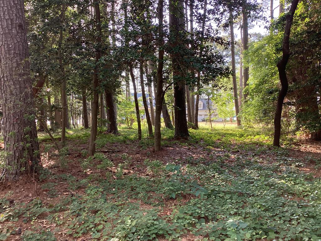 A6B White Tail Lane #A6B, Machipongo, Virginia image 13