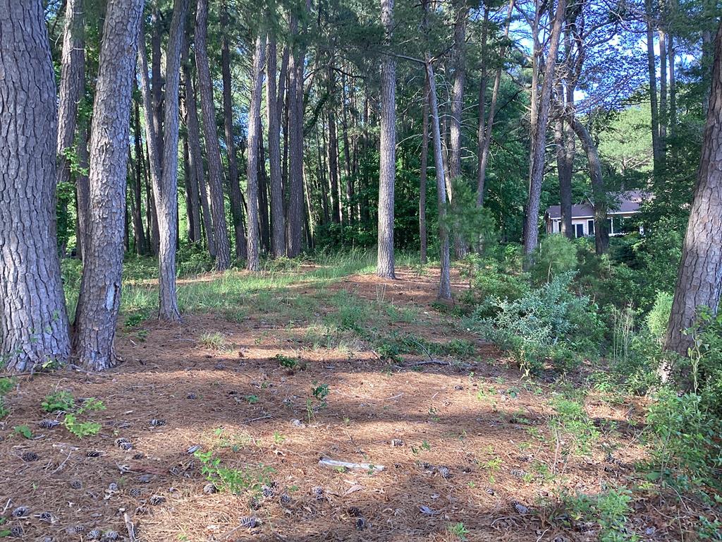 A6B White Tail Lane #A6B, Machipongo, Virginia image 40