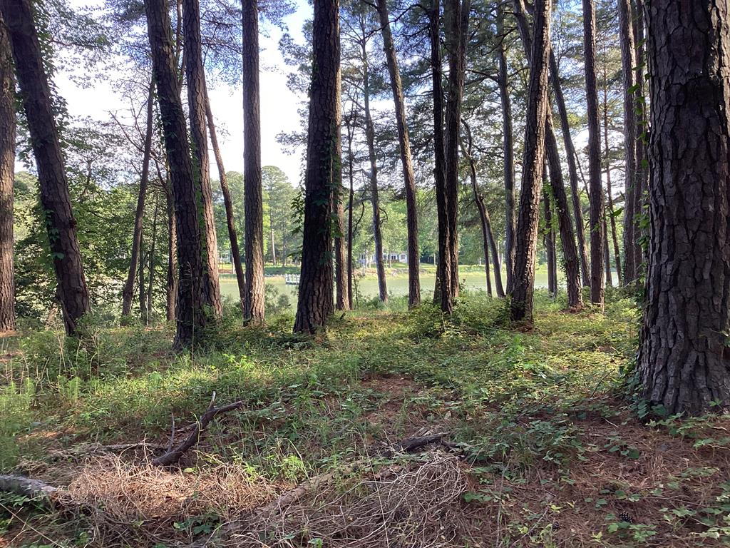 A6B White Tail Lane #A6B, Machipongo, Virginia image 47