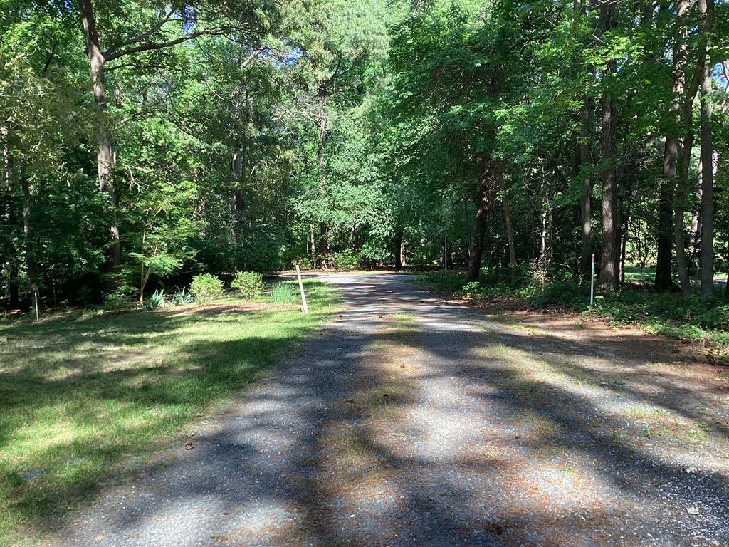 A6B White Tail Lane #A6B, Machipongo, Virginia image 3