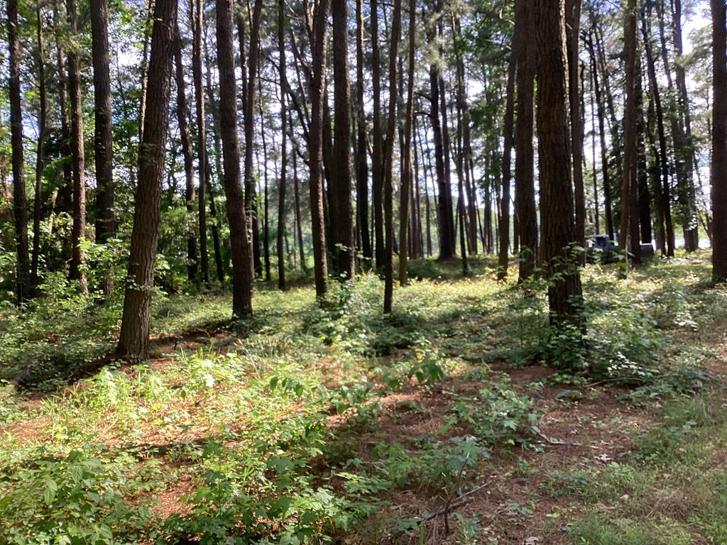 A6B White Tail Lane #A6B, Machipongo, Virginia image 9