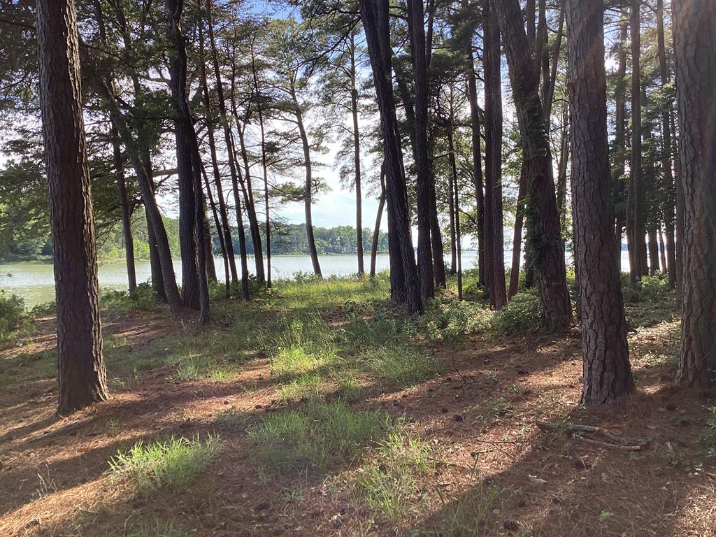 A6B White Tail Lane #A6B, Machipongo, Virginia image 43