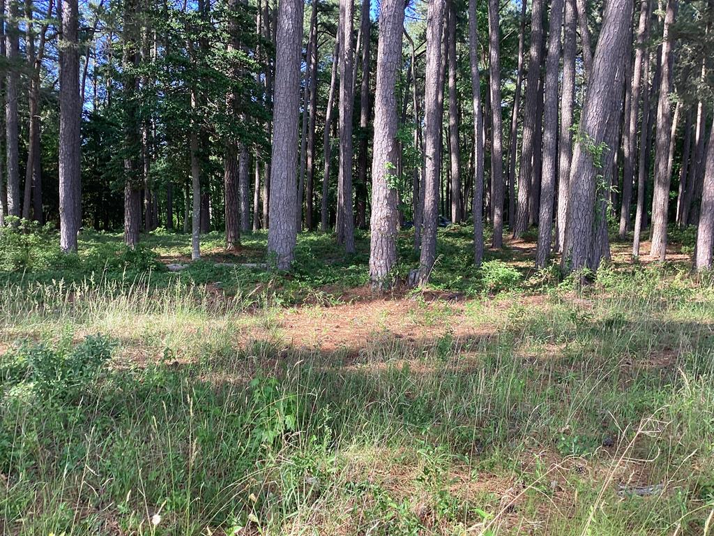 A6B White Tail Lane #A6B, Machipongo, Virginia image 35