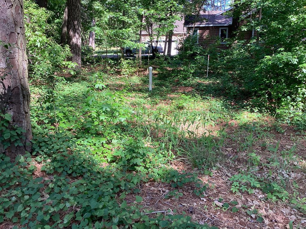 A6B White Tail Lane #A6B, Machipongo, Virginia image 6