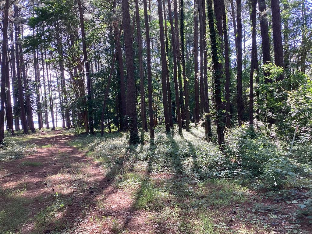 A6B White Tail Lane #A6B, Machipongo, Virginia image 7