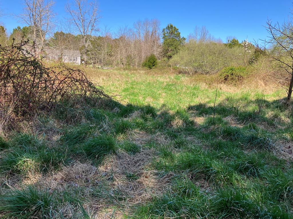 Lot 22 Blue Heron Ln #22, Accomac, Virginia image 15