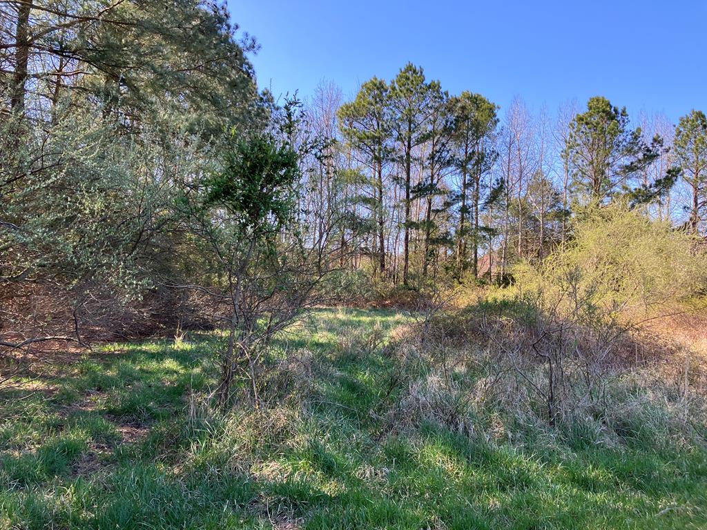 Lot 22 Blue Heron Ln #22, Accomac, Virginia image 16