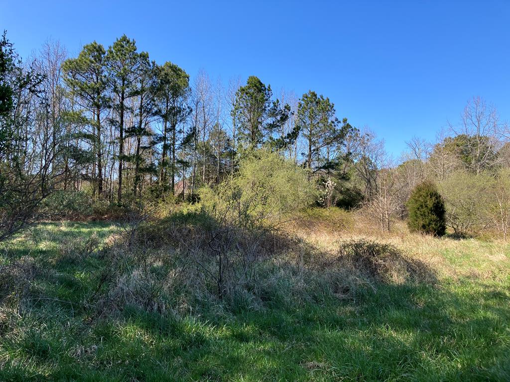 Lot 22 Blue Heron Ln #22, Accomac, Virginia image 17