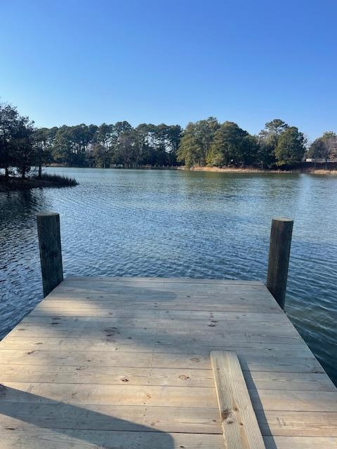 22080 Verlinda Lndg North, Cape Charles, Virginia image 8