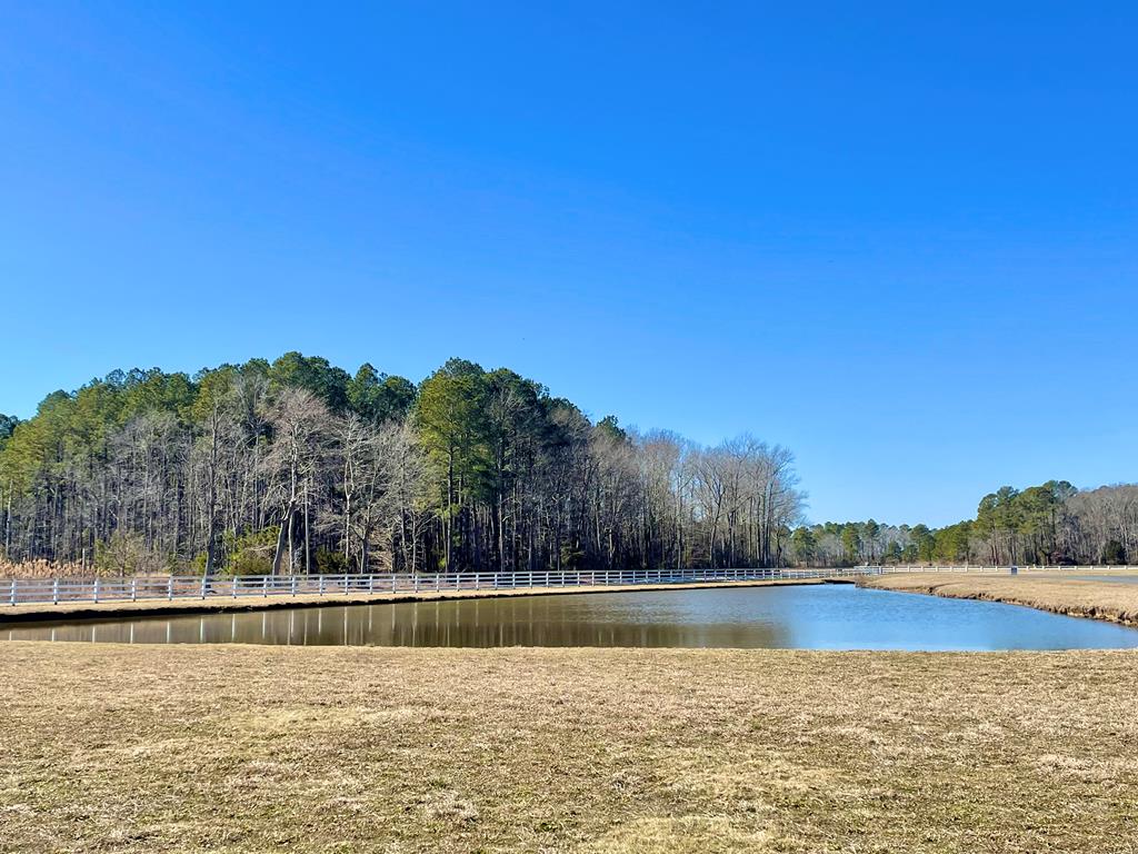 Lot 26 Eagle Drive #26, New Church, Virginia image 5