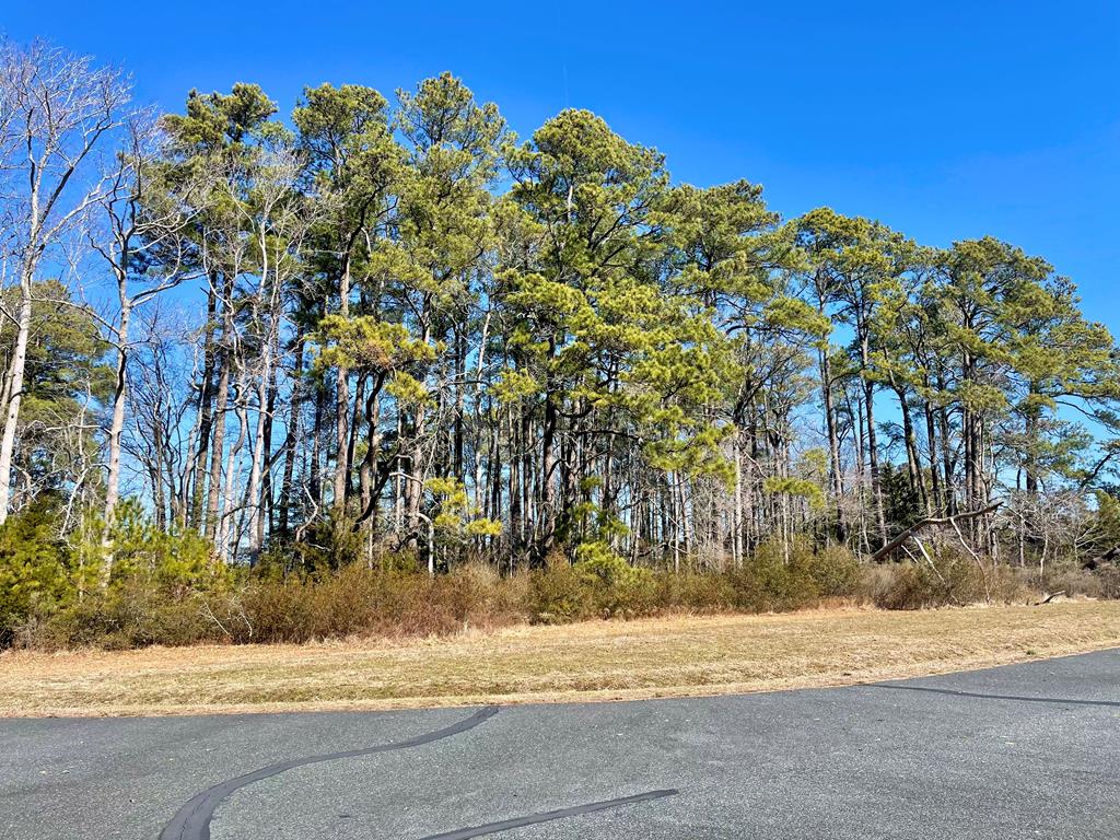 Lot 26 Eagle Drive #26, New Church, Virginia image 38