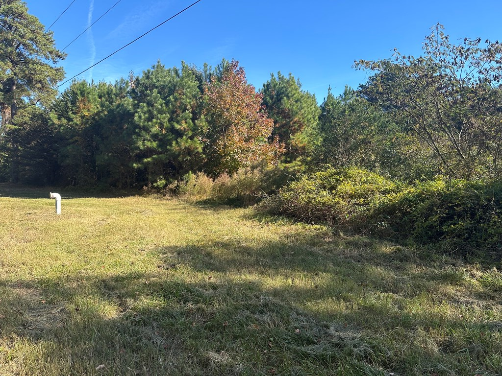 Lot 131 Metompkin Rd #131, Parksley, Virginia image 11