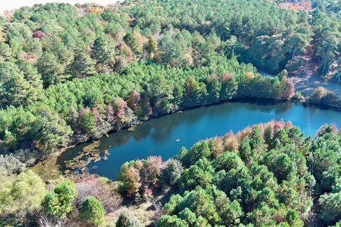 Vacant Land For Sale - LOT 131 Metompkin Rd #131<br/> Accomack County, Parksley, VA 23421