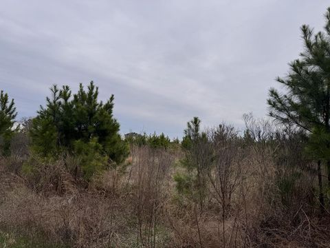 Vacant Land For Sale - LOT 12 Cedar Grove Drive #12<br/> Accomack County, Painter, VA 23420