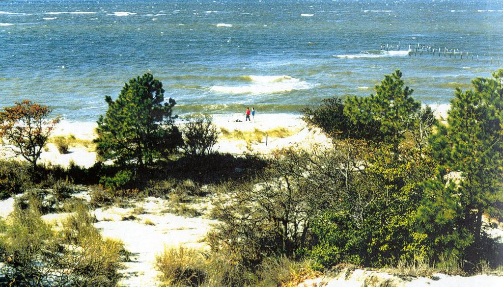 12A Sand Hill Dr #12A, Cape Charles, Virginia image 38