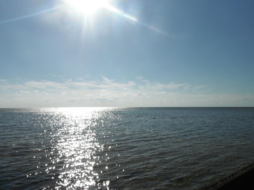 12A Sand Hill Dr #12A, Cape Charles, Virginia image 49