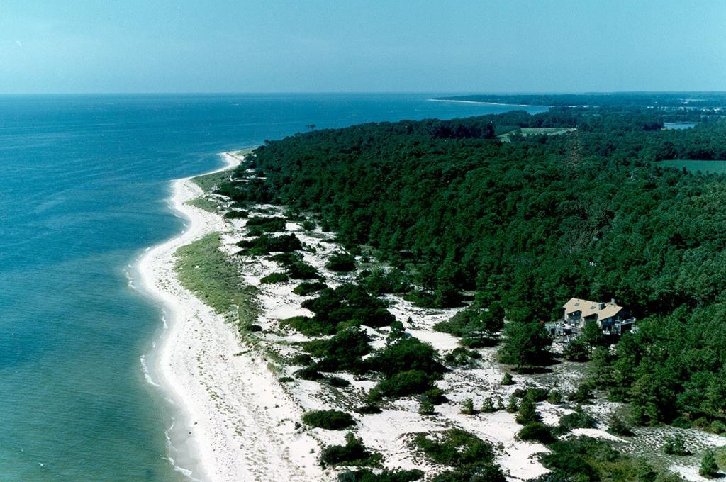 12A Sand Hill Dr #12A, Cape Charles, Virginia image 1