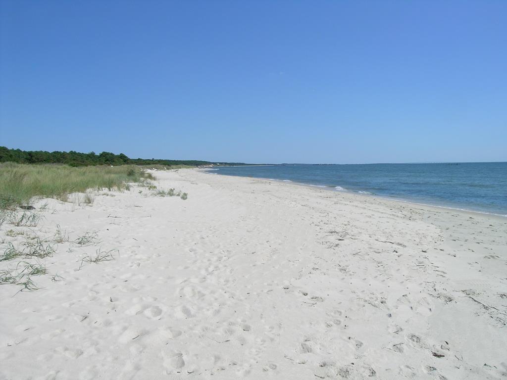 12A Sand Hill Dr #12A, Cape Charles, Virginia image 8