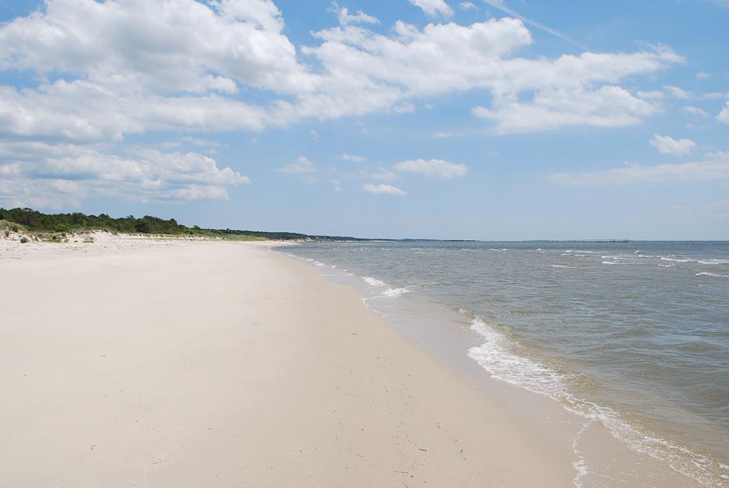 12A Sand Hill Dr #12A, Cape Charles, Virginia image 5