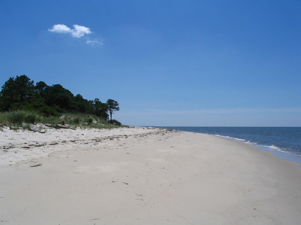 12A Sand Hill Dr #12A, Cape Charles, Virginia image 41