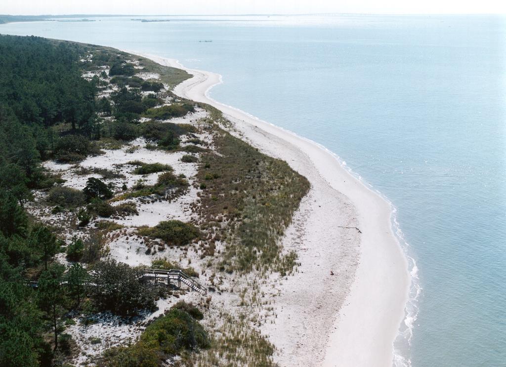 12A Sand Hill Dr #12A, Cape Charles, Virginia image 2