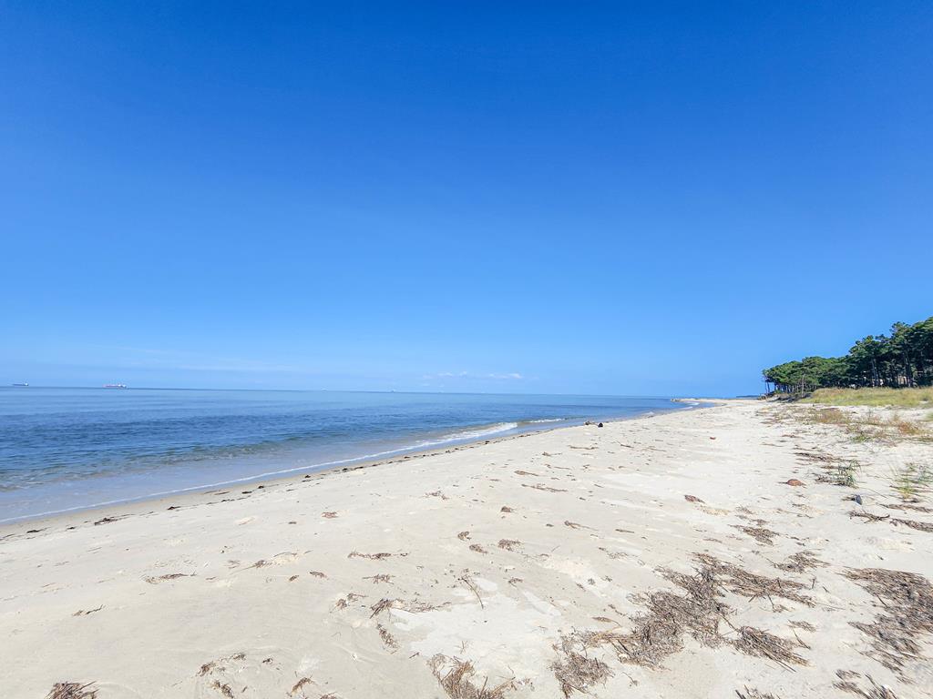 12A Sand Hill Dr #12A, Cape Charles, Virginia image 43