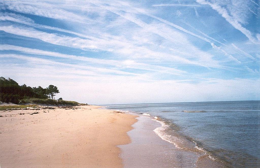 12A Sand Hill Dr #12A, Cape Charles, Virginia image 29