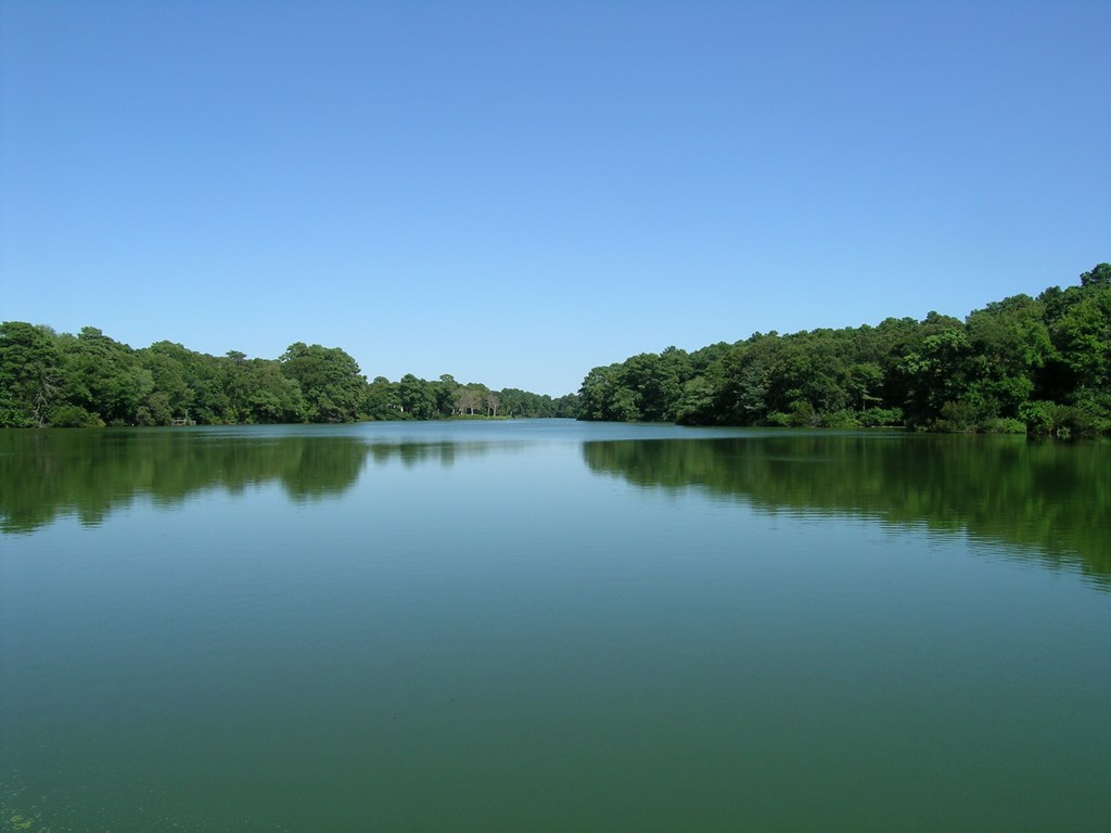 12A Sand Hill Dr #12A, Cape Charles, Virginia image 16