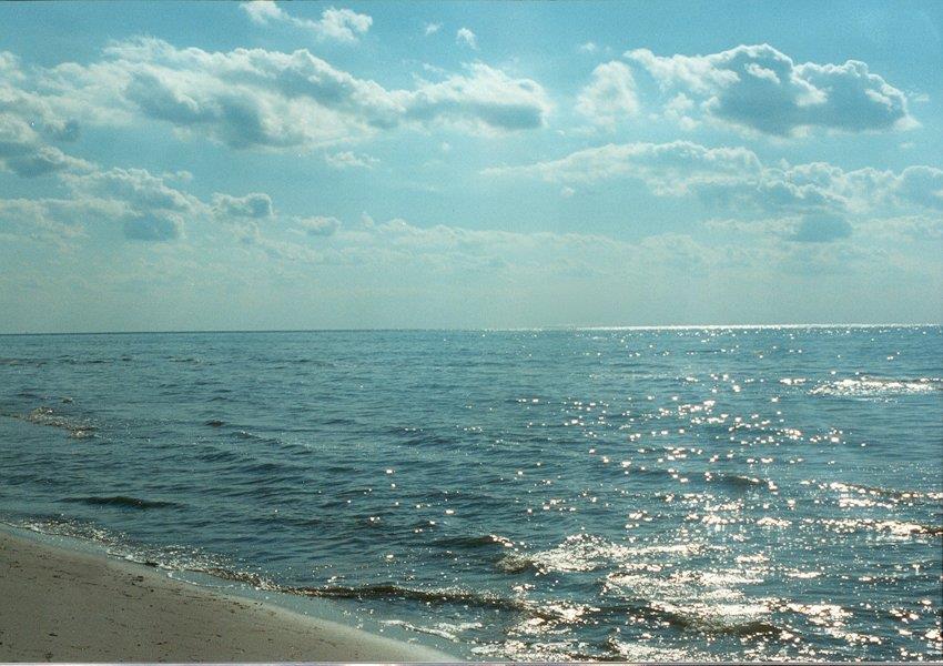 12A Sand Hill Dr #12A, Cape Charles, Virginia image 9