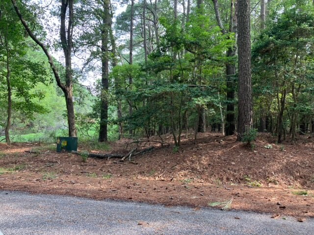 Lot 79 Swan Dr #79, Machipongo, Virginia image 3