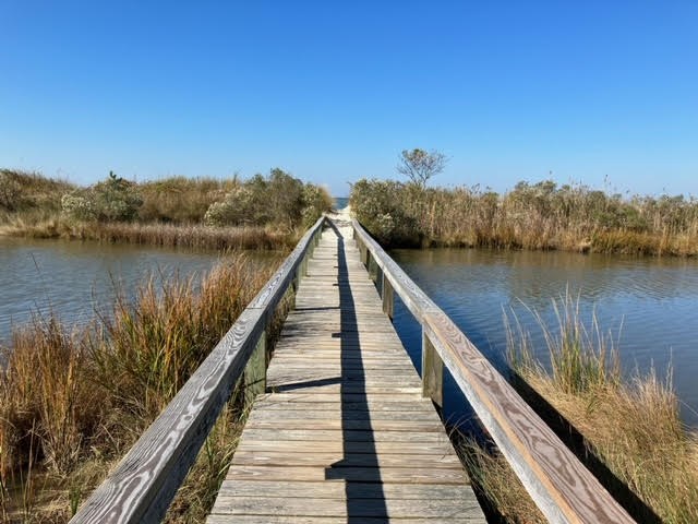 Lot 79 Swan Dr #79, Machipongo, Virginia image 5