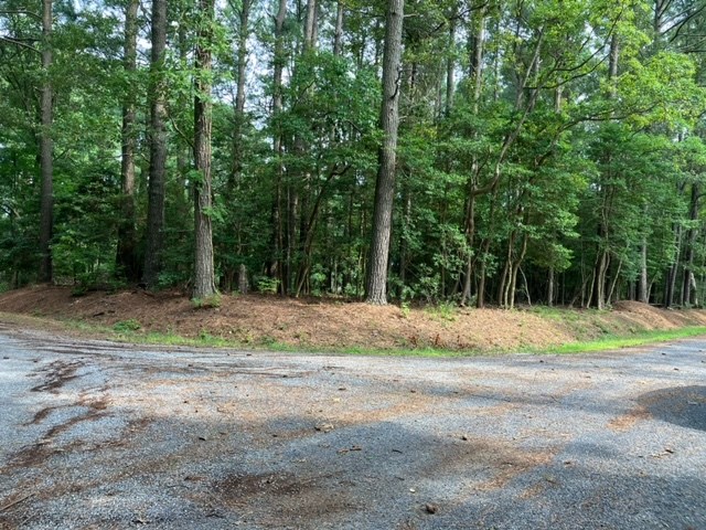 Lot 79 Swan Dr #79, Machipongo, Virginia image 2