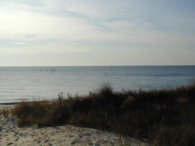 00 Nottingham Ridge Ln #3A, Cape Charles, Virginia image 2