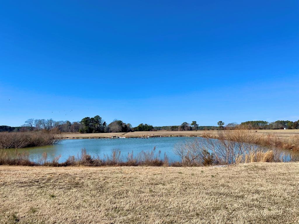 Lot 3 Eagle Drive #3, New Church, Virginia image 30