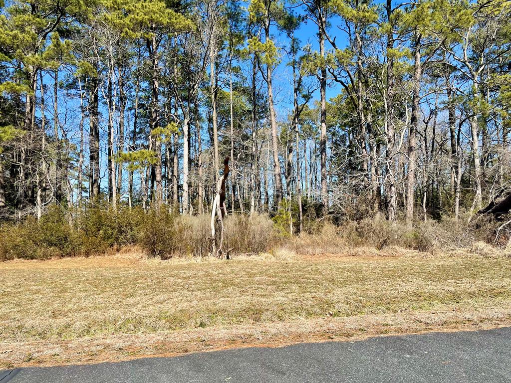 Lot 3 Eagle Drive #3, New Church, Virginia image 3