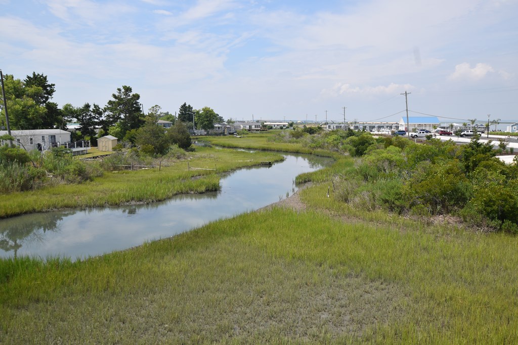 2522 Main St, Chincoteague, Virginia image 13