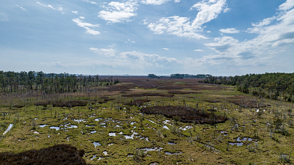 Lot 32* Youngs Creek Rd #32*, Bloxom, Virginia image 18