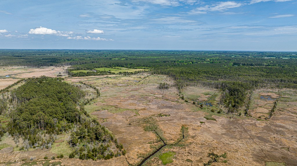 Lot 32* Youngs Creek Rd #32*, Bloxom, Virginia image 8